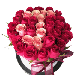 Roses Flower Box 4