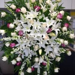 X-Large Funeral 5
